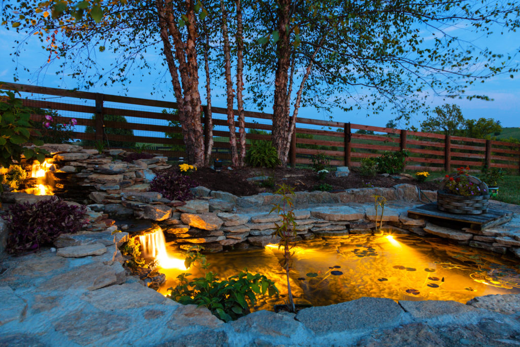 Outdoor lighting in backyard pond