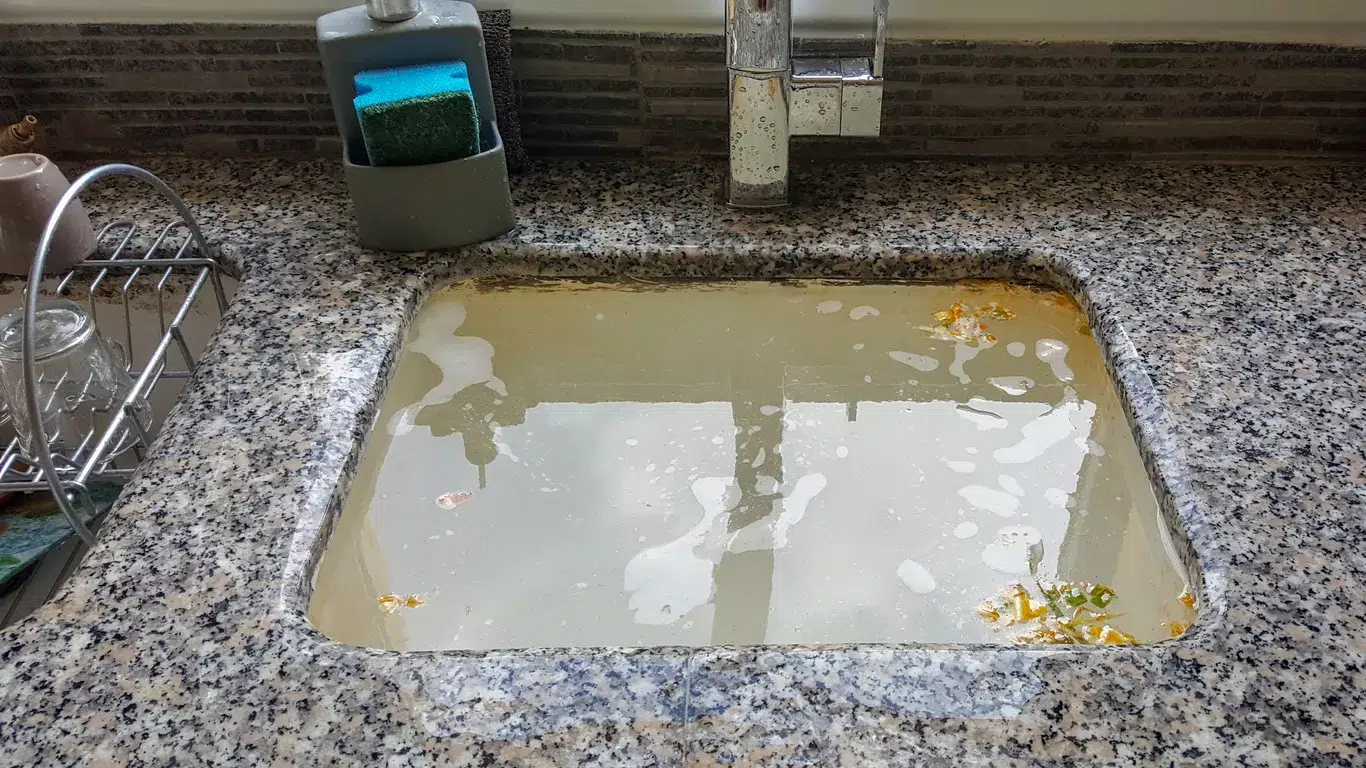 5 Signs of Sewer Line Clogs