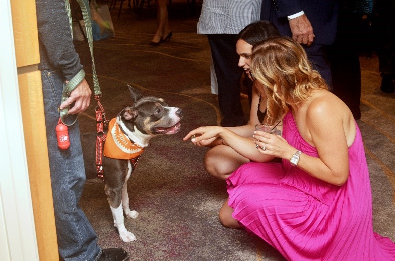 Paws & Applause: Celebrating Compassion at the 24th Annual Pawsibility Ball