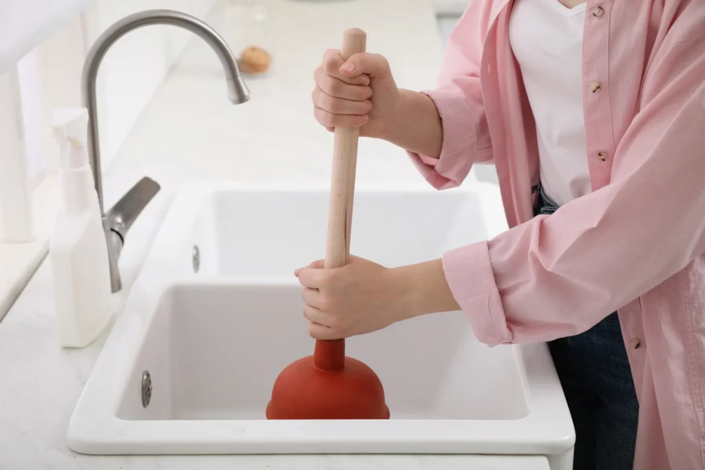 Person holding a plunger in a sink